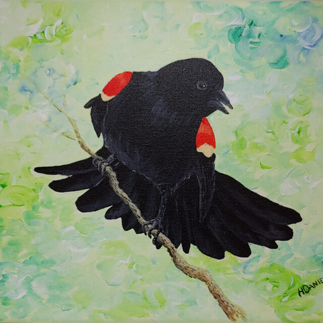Red-winged Blackbird on Thin Branch Painting