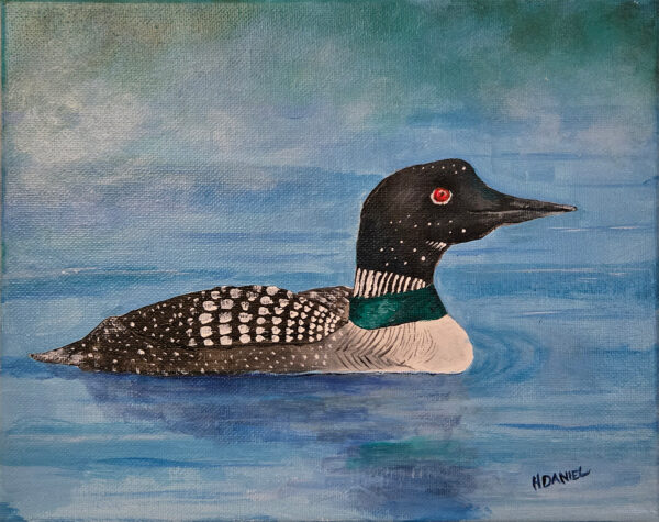 Common Loon