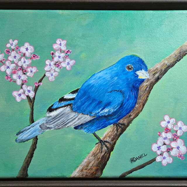 Indigo Bunting