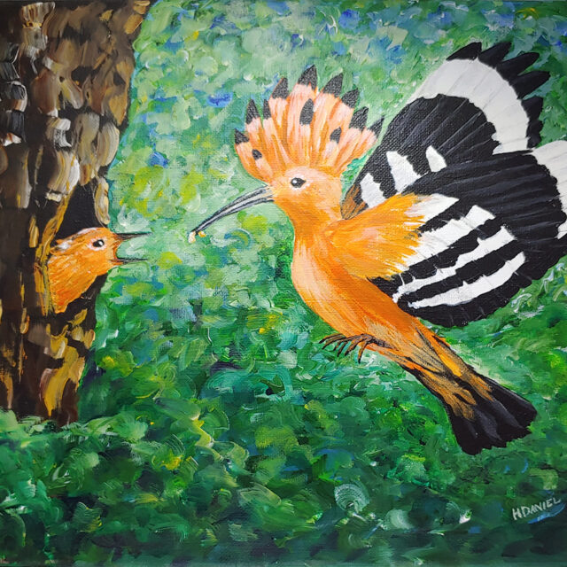 Hoopoe Mother and Chick