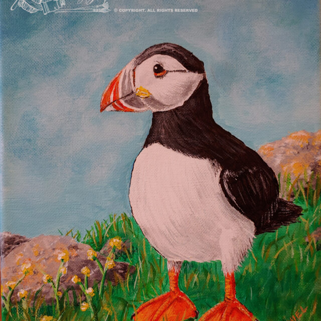 Atlantic Puffin