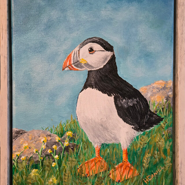 Atlantic Puffin
