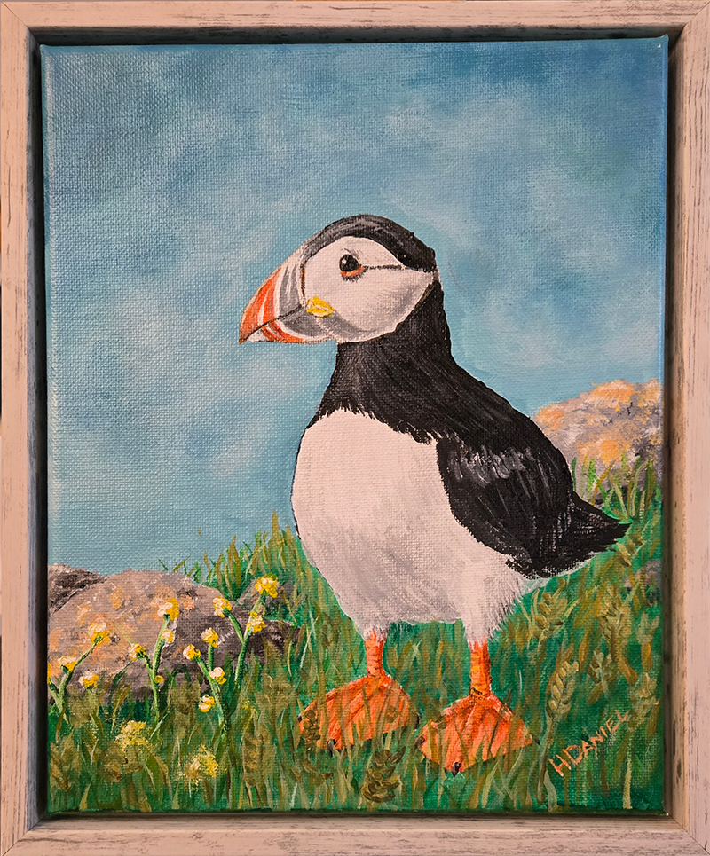 Atlantic Puffin