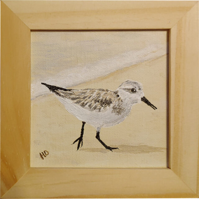 Sandpiper 4" x 4" Framed