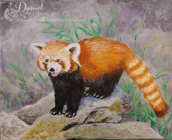 Red Panda