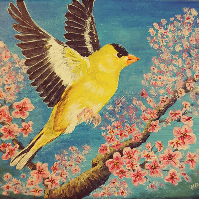 Goldfinch and Pink Cherry Blossoms