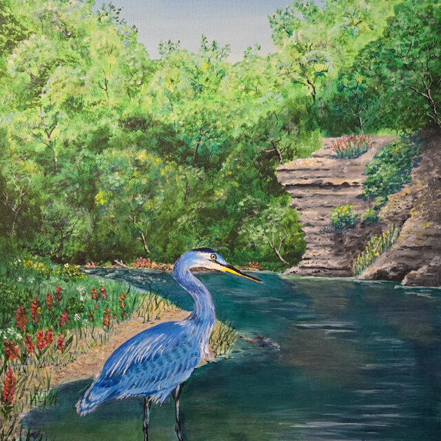 Blue Heron on Jones Creek, Tennessee