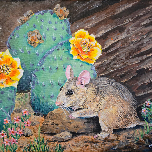 Cactus Mouse in the Prickly Pears