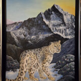 Snow Leopard in the Himalayas with frame