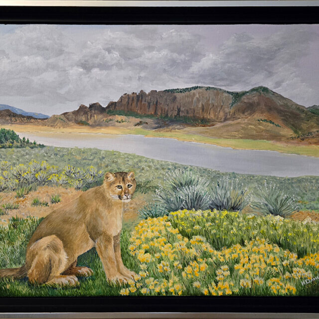 Cougar by Blue Mesa Reservoir at Dillon Pinnacles