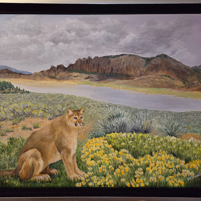 Cougar by Blue Mesa Reservoir at Dillon Pinnacles