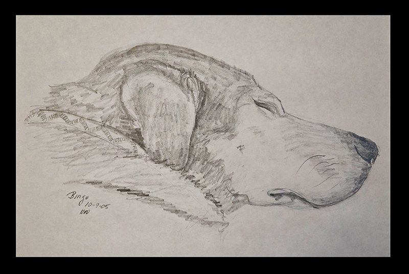 https://hughdanielart.com/wp-content/uploads/2024/10/Bingo-sleeping-2005.jpg