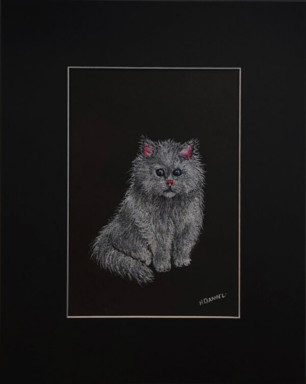 Persian Kitten White Charcoal Drawing