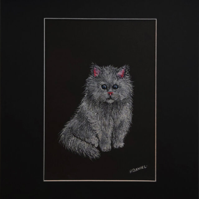 Persian Kitten White Charcoal Drawing