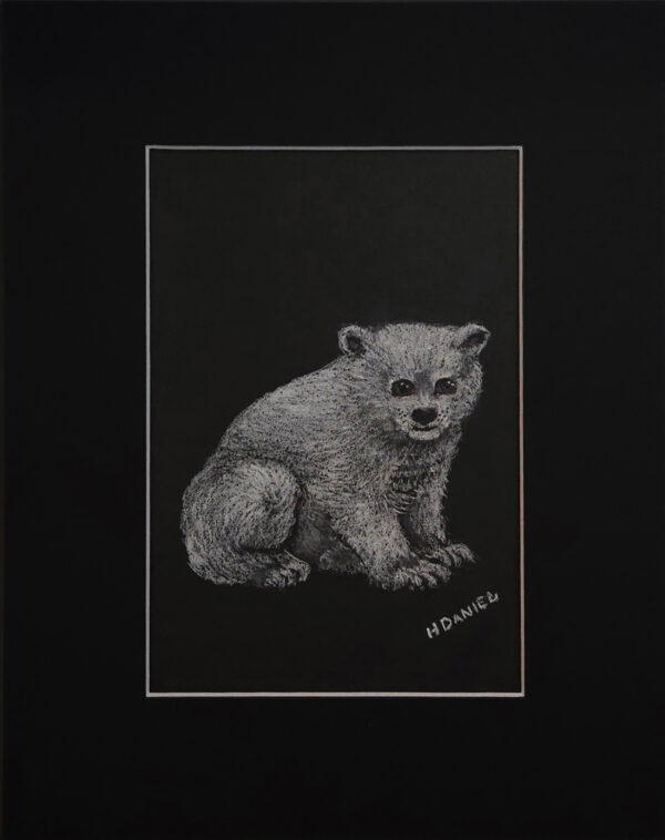 Polar Bear Cub White Charcoal Drawing