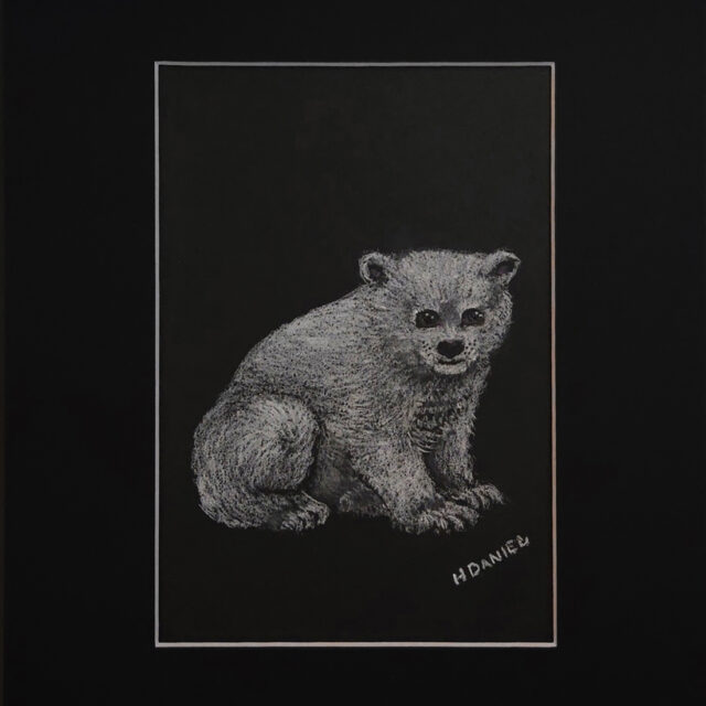 Polar Bear Cub White Charcoal Drawing