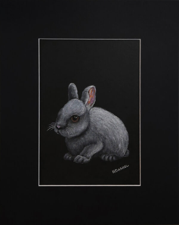 White Rabbit Kit White Charcoal Drawing