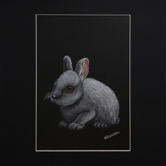 White Rabbit Kit White Charcoal Drawing