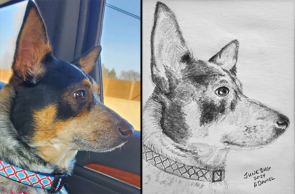 https://hughdanielart.com/wp-content/uploads/2025/02/Junebug-photo-drawing.jpg