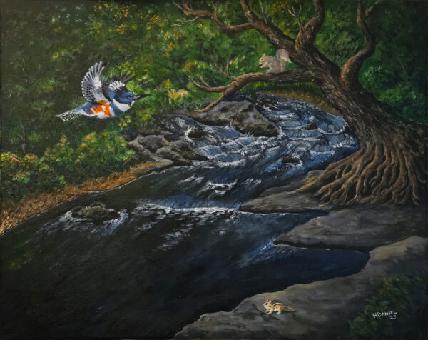 Kingfisher over a Mountain Stream