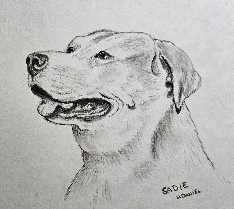 https://hughdanielart.com/wp-content/uploads/2025/02/Sadie-web-02.jpg