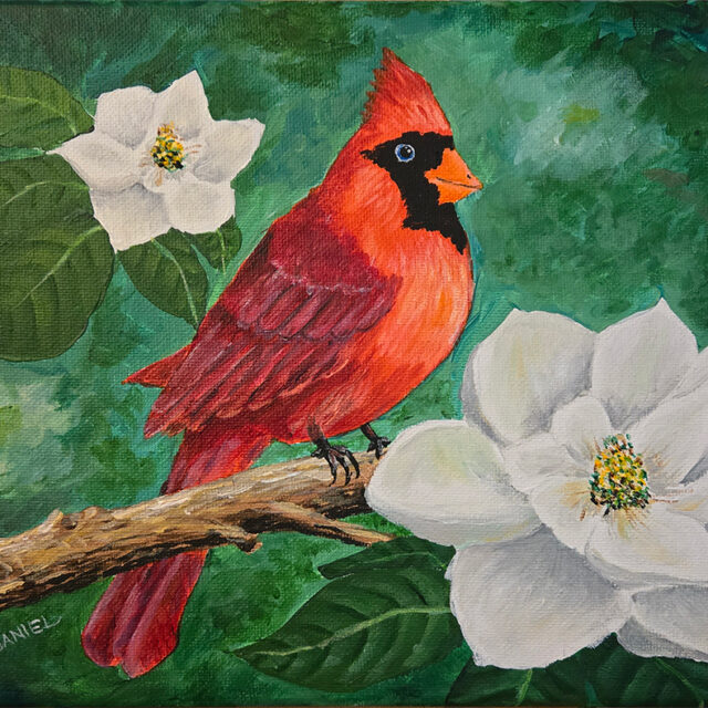 Cardinal in the Magnolias