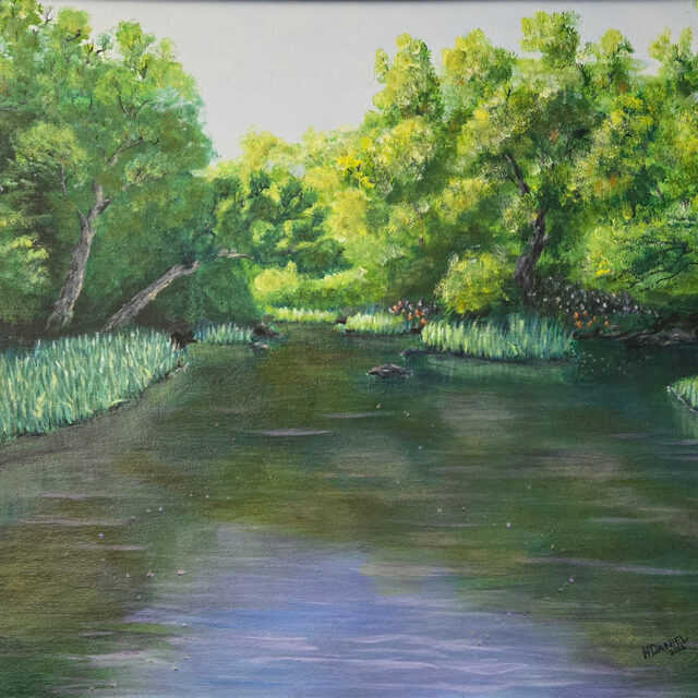 Eno River Reflections