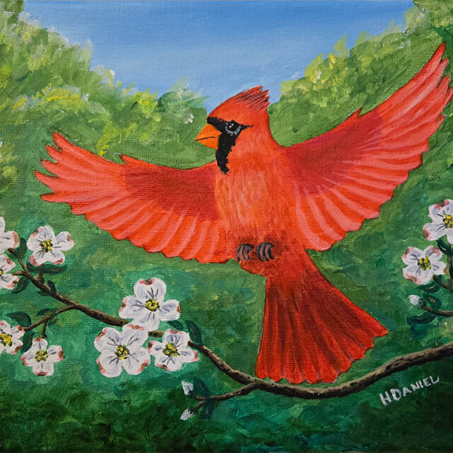 Cardinal in Flight with Dogwood Blossoms