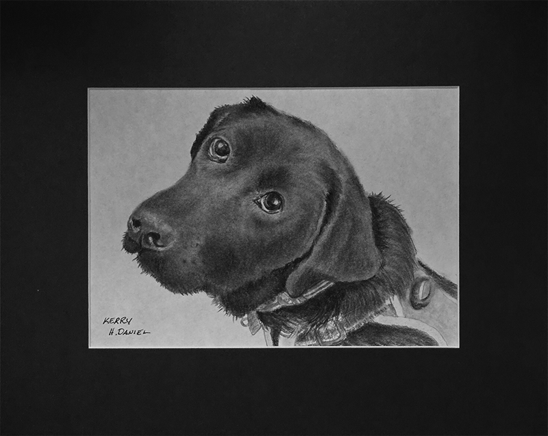 https://hughdanielart.com/wp-content/uploads/2025/04/JK-Kerry-2025-04-web.jpg