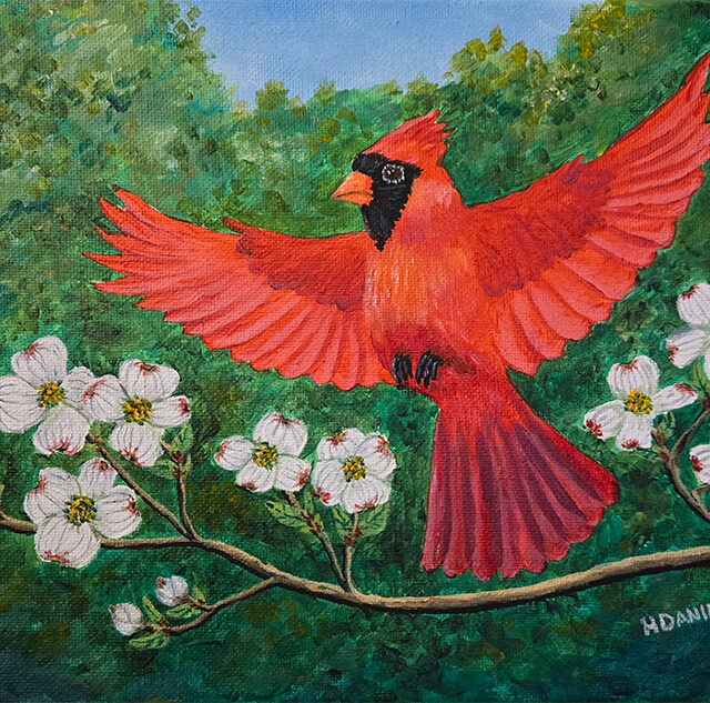 Cardinal in Flight with Dogwood Blossoms