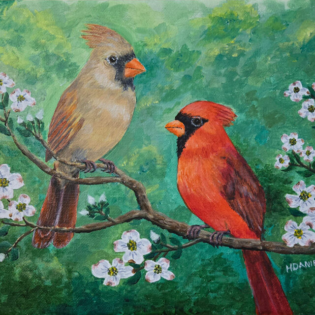 Cardinals in Spring