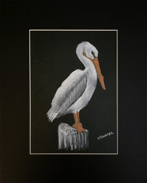 White Pelican on Post