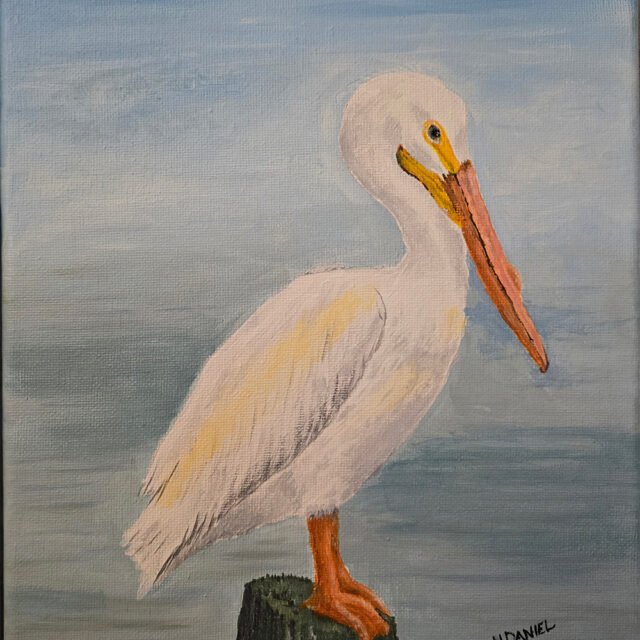 Pelican on a Misty Morning