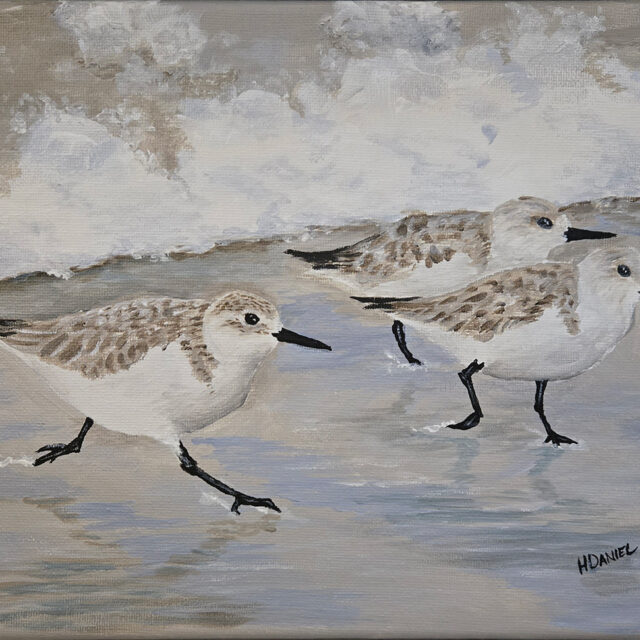 Sandpipers Racing the Wave