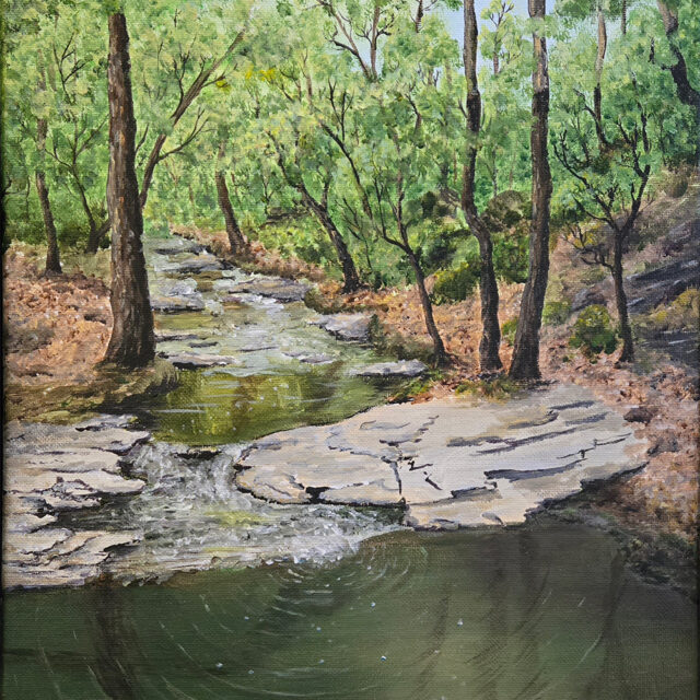 Mine Creek at Shelley Lake Park