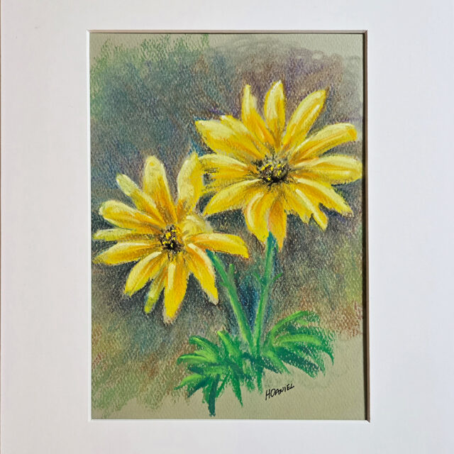 Daisies Pastel