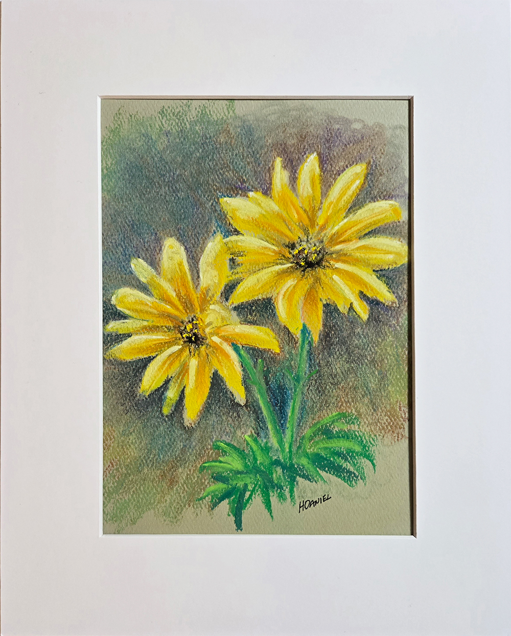 Daisies Pastel