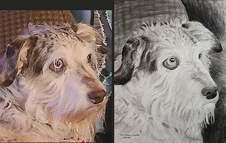https://hughdanielart.com/wp-content/uploads/2026/03/Miss-Molly-Marie-2026-compare.jpg