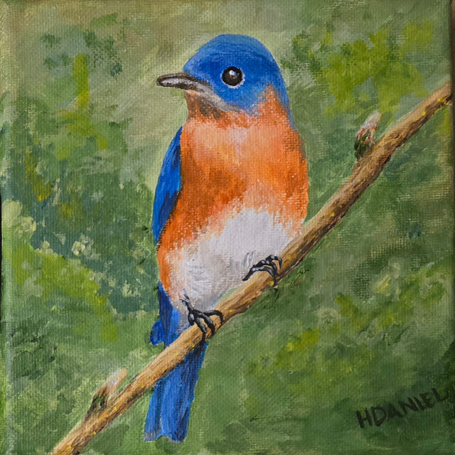 Bluebird 6x6