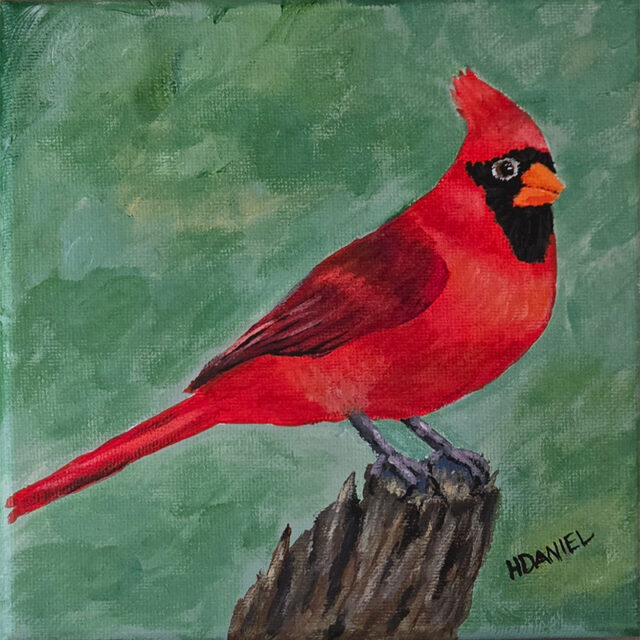 Cardinal 6x6