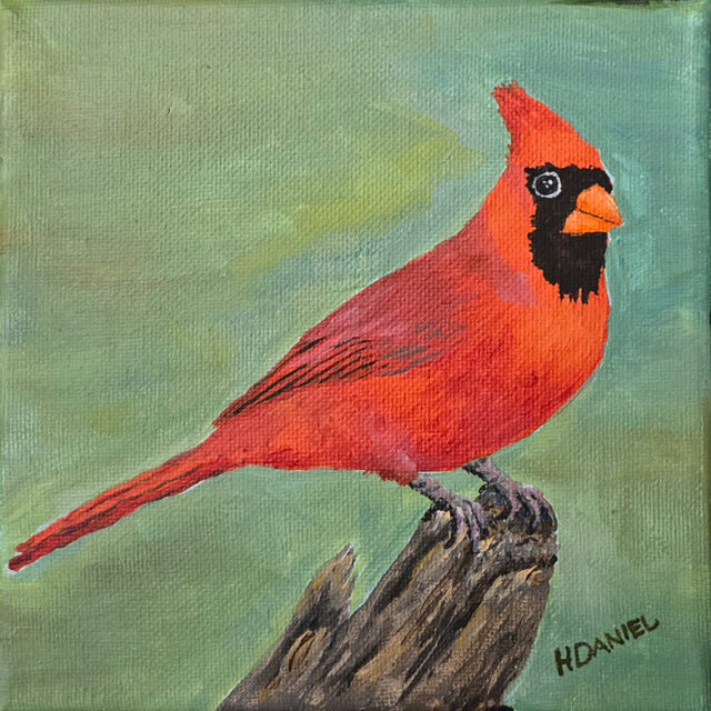 Cardinal 6x6