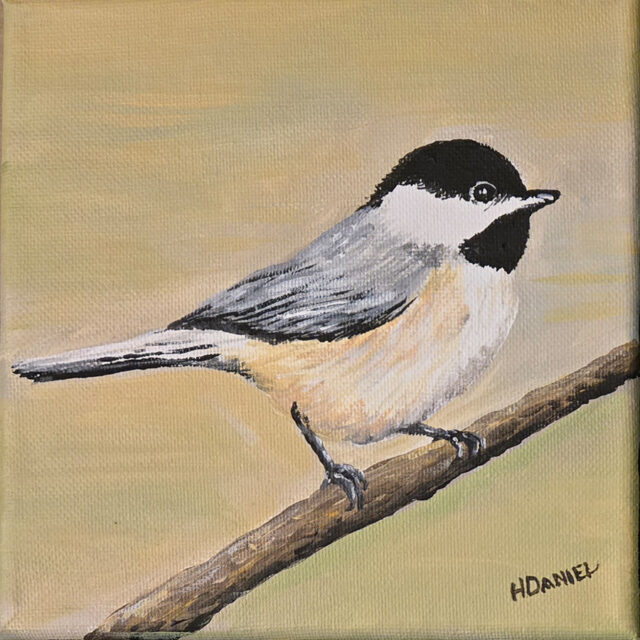 Chickadee 6x6