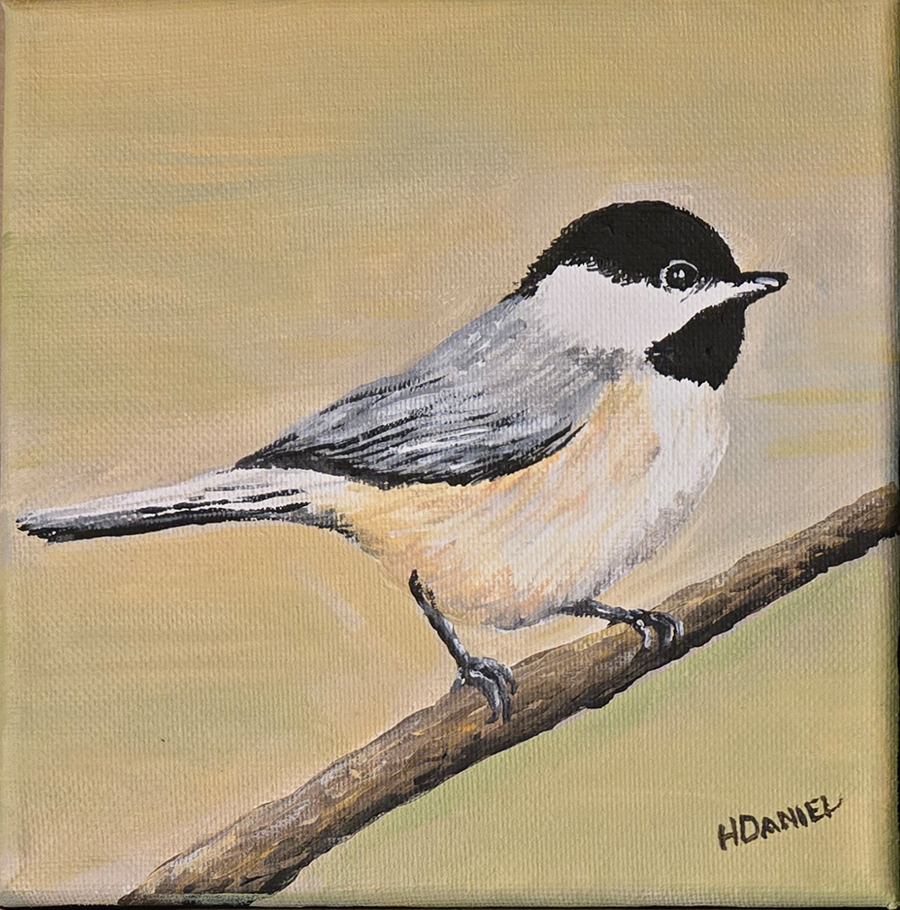 Chickadee 6x6
